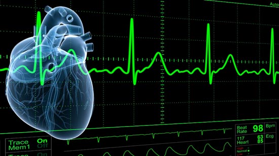 MSC Noticias - Heart-Energy Agencias Com y Pub Factum Com Negocios Publicidad Salud Tecnología 