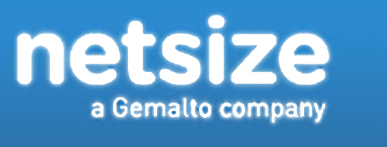 MSC Noticias - Netisize_Logo Agencias Com y Pub Negocios Publicidad Tecnología 