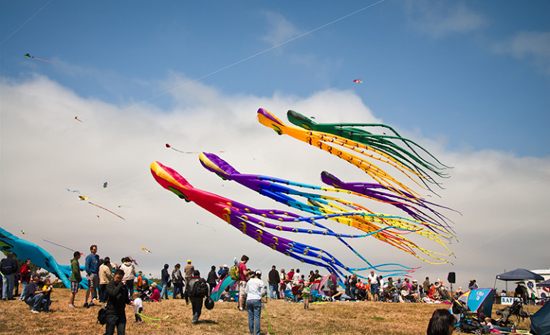 MSC Noticias - berkeley_kite_festival_kites_ Negocios Publicidad Turismo 