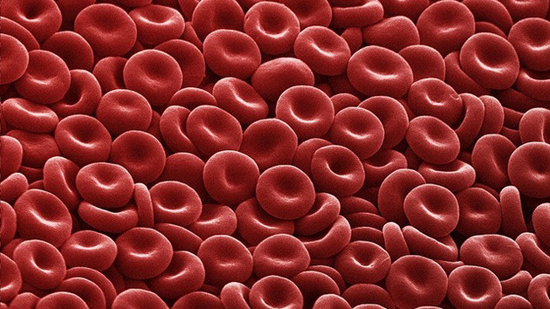 MSC Noticias - células-de-la-sangre Agencias Com y Pub Comstat Rowland Salud 