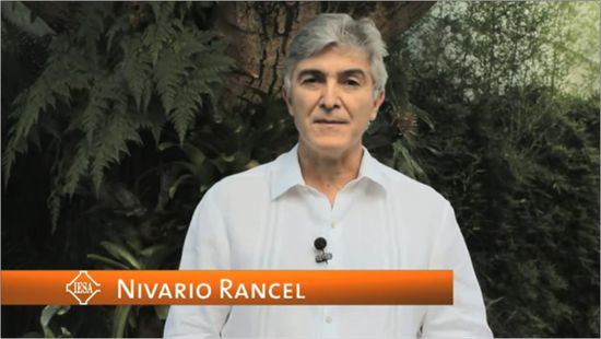 MSC Noticias - Nivario-Rancel-IESA Agencias Com y Pub Comstat Rowland Negocios Publicidad 