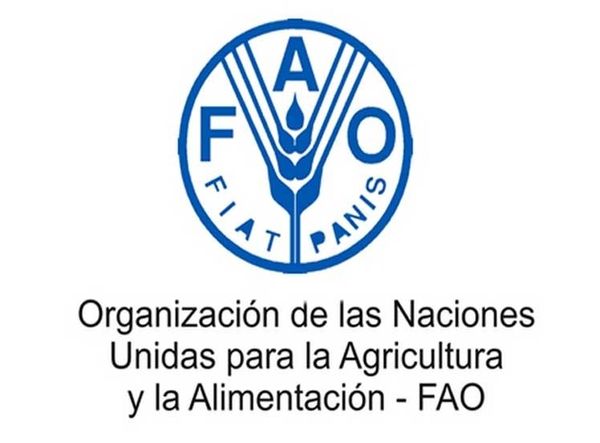 MSC Noticias Latinoamerica - FAO Coronavirus 