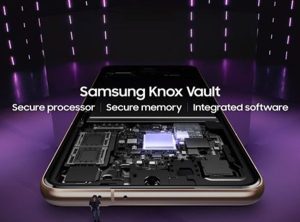 MSC Noticias Latinoamerica - 01_knoxvault_chip-300x222 